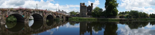 Pic 2016-0612 04 Leighlinbridge (6)