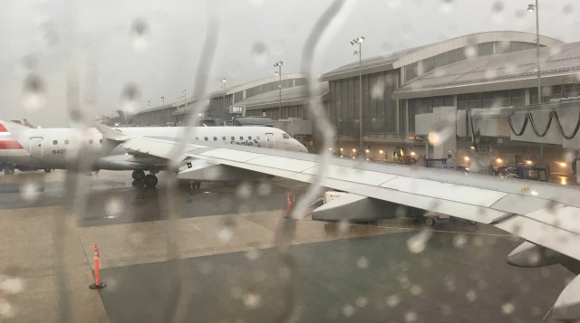 Pic 2017-0617 (Cole) (10) edit blog