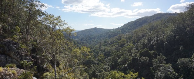 Pic 2017-0722 Kondalilla NP (27) edit