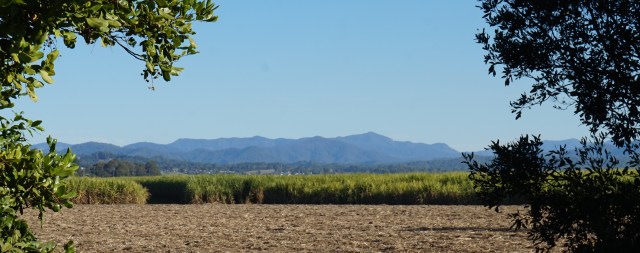Pic 2017-0805 07 Tweed Valley Road (7) edit