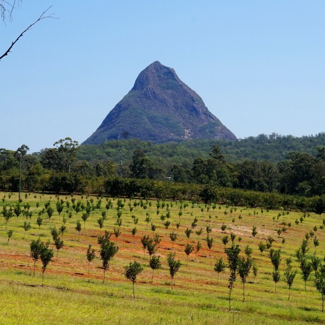 Pic 2017-0924 02 Mt Beerwah (3) Edit