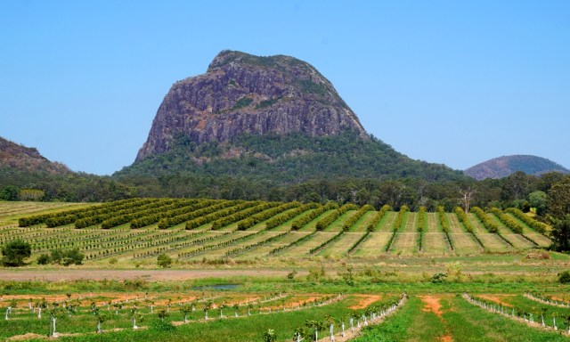 Pic 2017-0924 05 Mt Tibrogargan (1) Edit