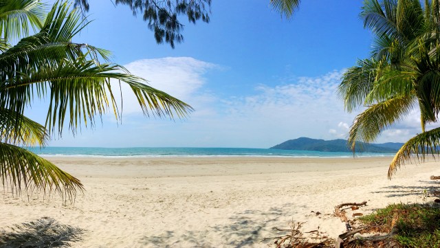 Pic 2017-1002 02 Daintree Forest by Cole (1) Edit