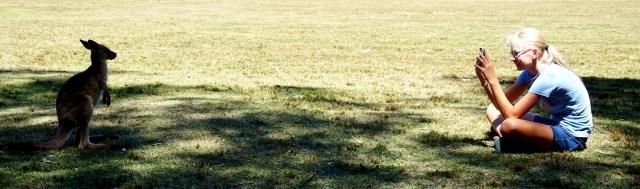 Pic 2017-1214 06 Morisset Park (42) Edit