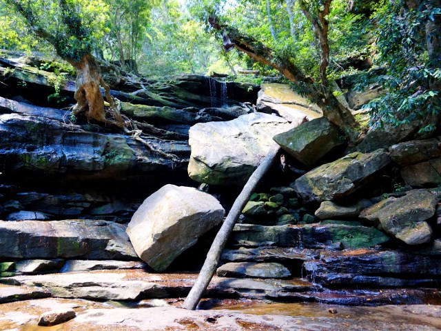 Pic 2017-1216 04 Somersby Falls (12) Edit