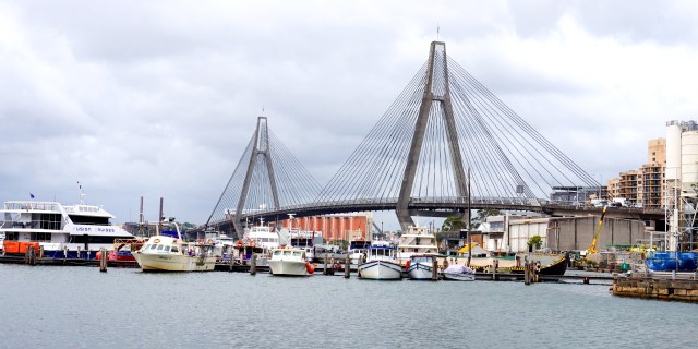 Pic 2017-1221 05 Blackwattle Bay (6) Edit