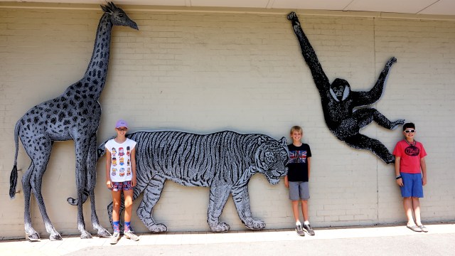 Pic 2018-0124 01 Melbourne Zoo (129) Edit