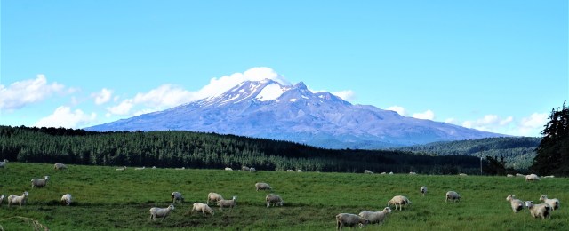 Pic 2018-0212 09 Ohakune Mtn (4) Edit
