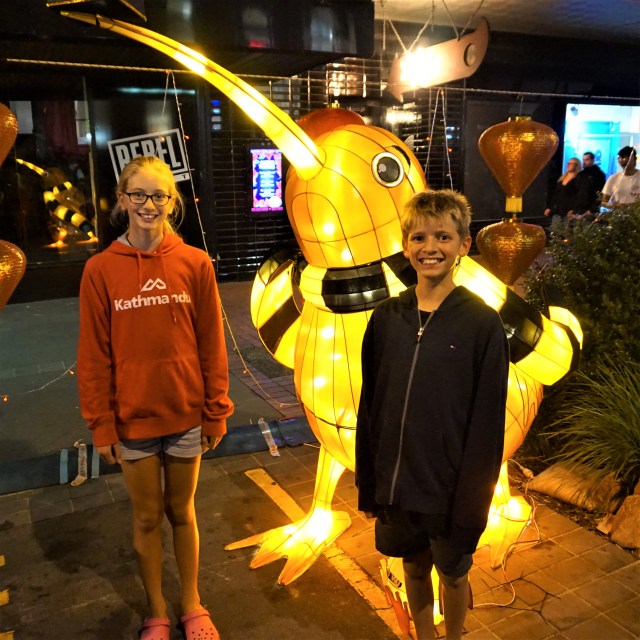 Pic 2018-0216 06 Cuba Street Mall (9) Edit