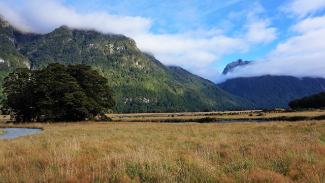 Pic 2018-0223 01 Fjordland NP (7) Edit