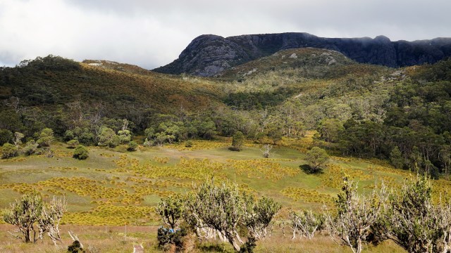 Pic 2018-0328 03 Cradle Mtn Waldheim Trail (62) Edit
