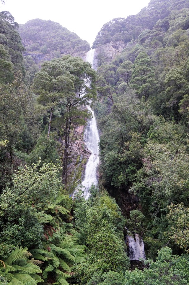 Pic 2018-0329 02 Montezuma Falls (56) Edit