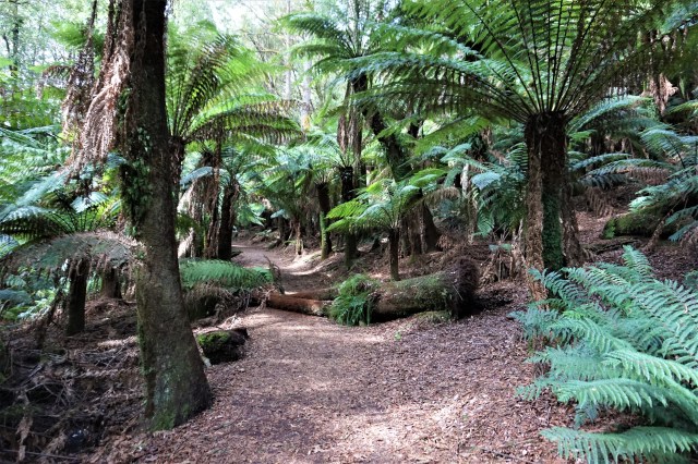 Pic 2018-0406 05 St Columbia Falls (9) Edit