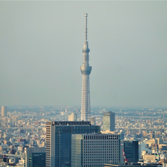 Pic 2018-0607 14 Tokyo Tower (45) Edit