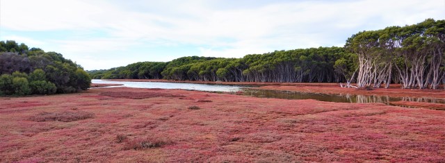Pic 2018-0703 07 Willoughby River (1) edit2