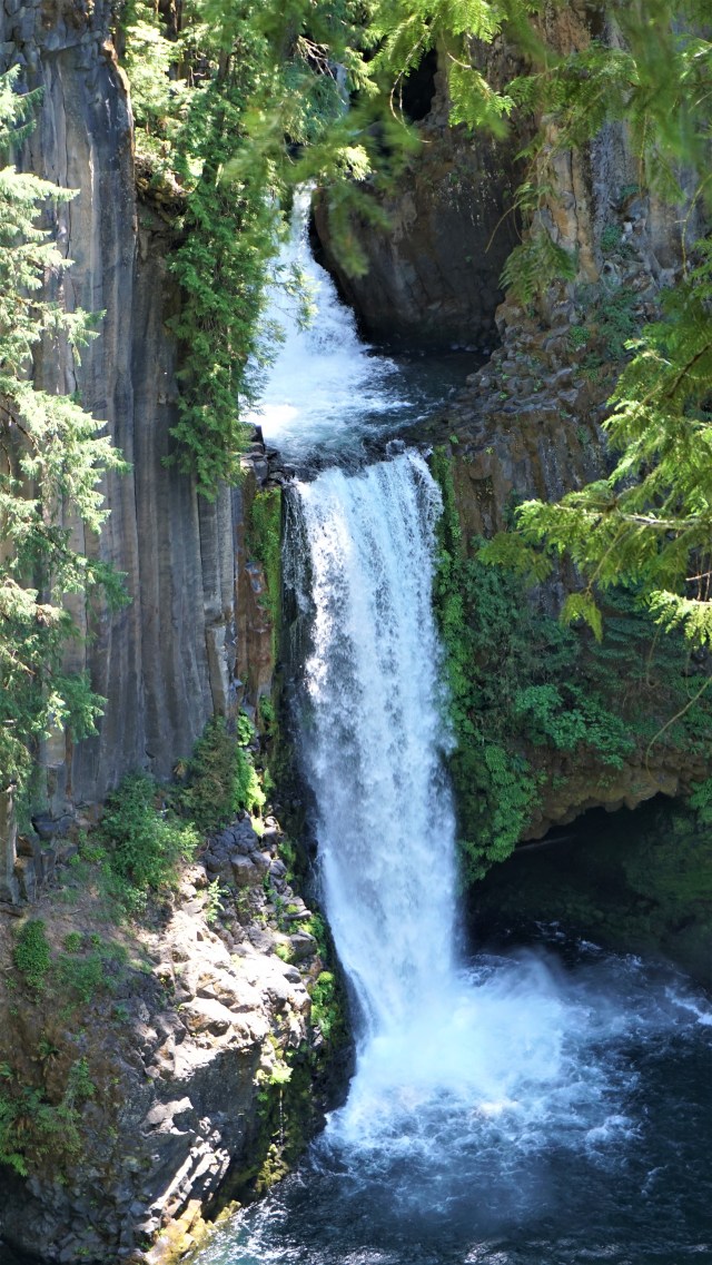 Pic 2019-0624 04 Toketee Falls Trail (35) edit