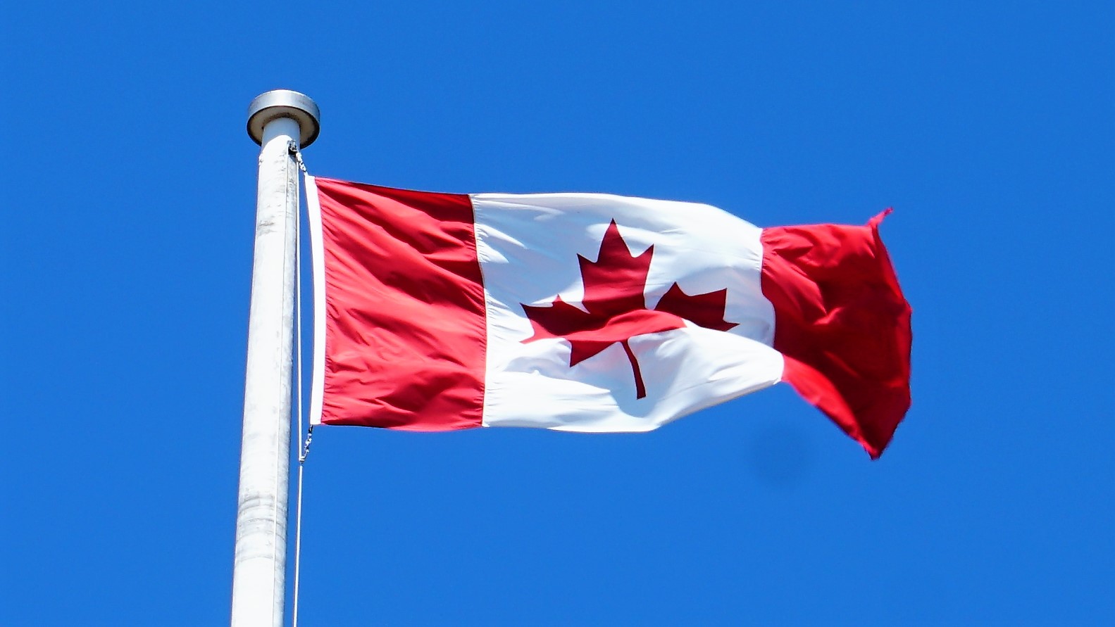 Pic 2019-0701 01 Victoria on Canada Day (58) e